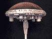 Dome Side